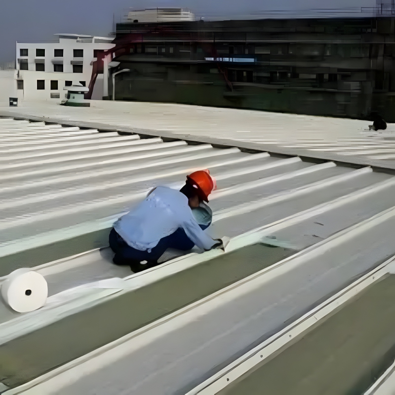 products steel structures accessories maintenance roof panels 002