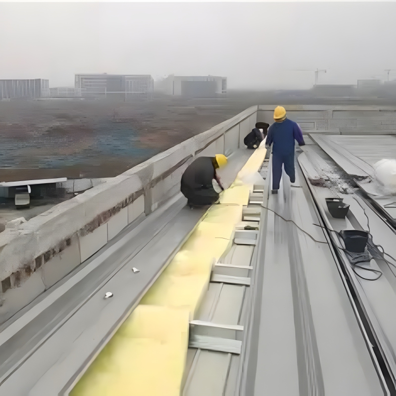 products steel structures accessories maintenance roof panels 005