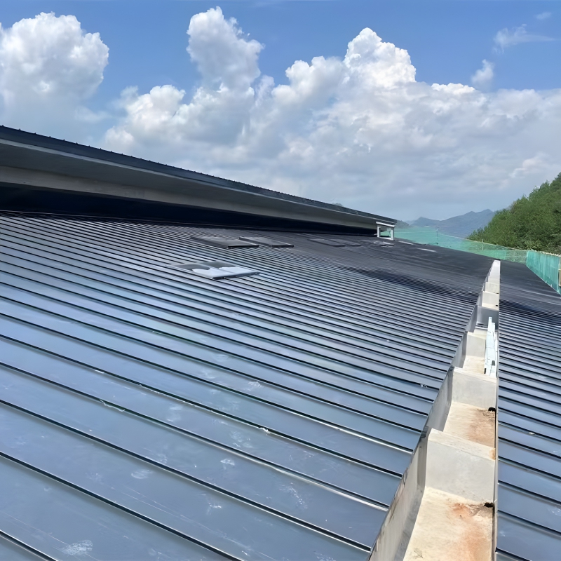 products steel structures accessories maintenance roof panels 006