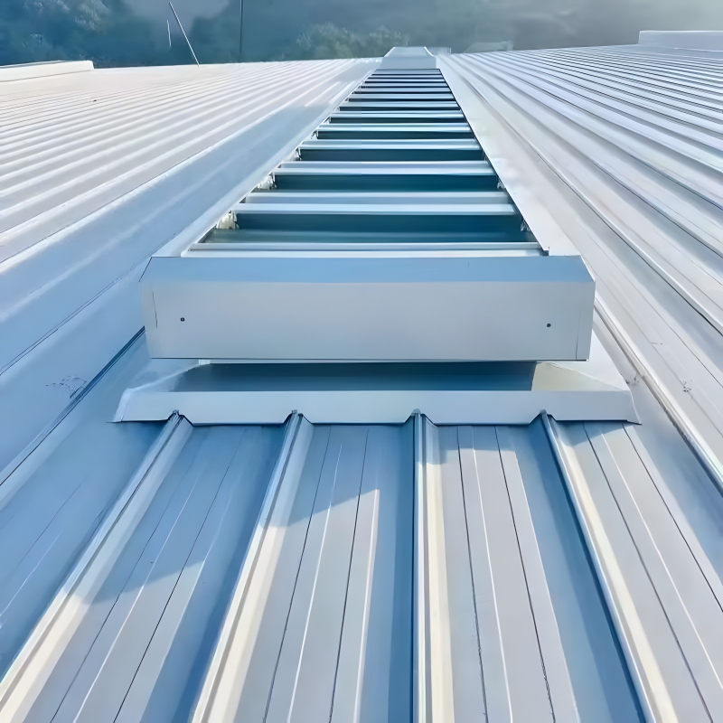 products steel structures accessories maintenance roof panels 007