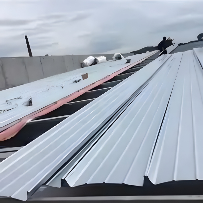 products steel structures accessories maintenance roof panels 008