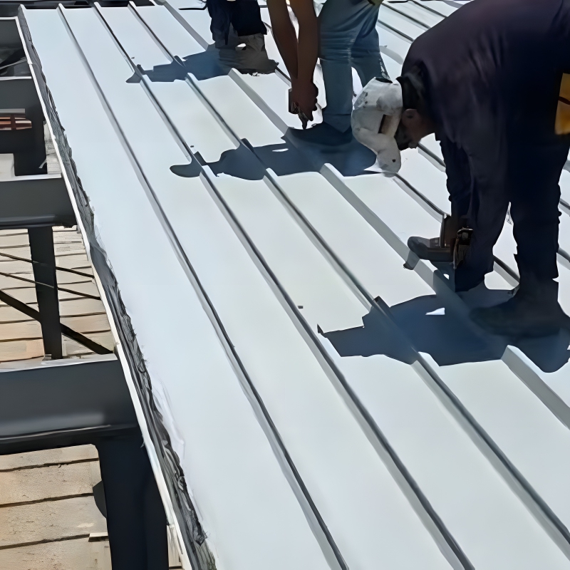 products steel structures accessories maintenance roof panels 011